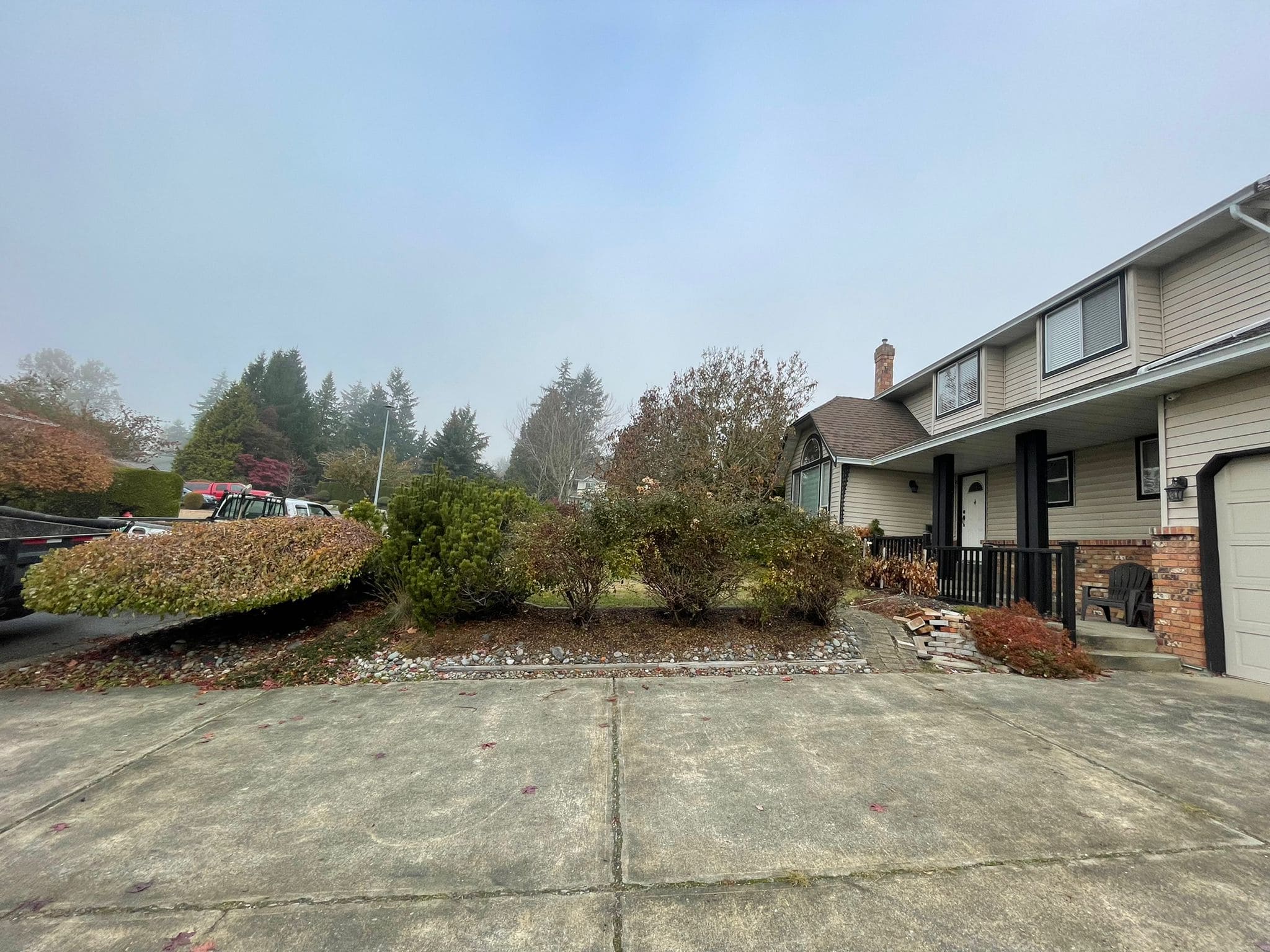 north side of the front yard before the project has started