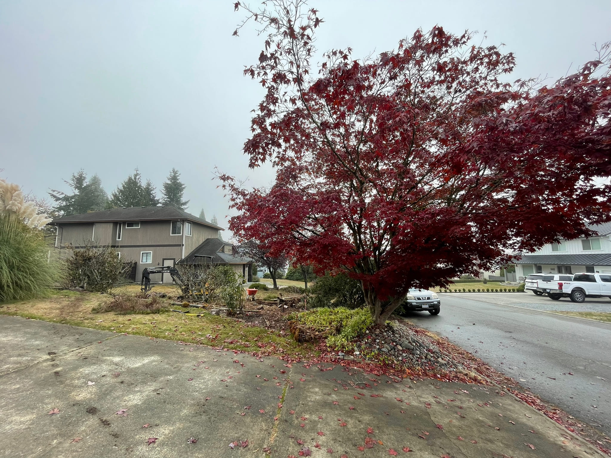 south side on the street with a large red maple tree growing in an old rock garden bed