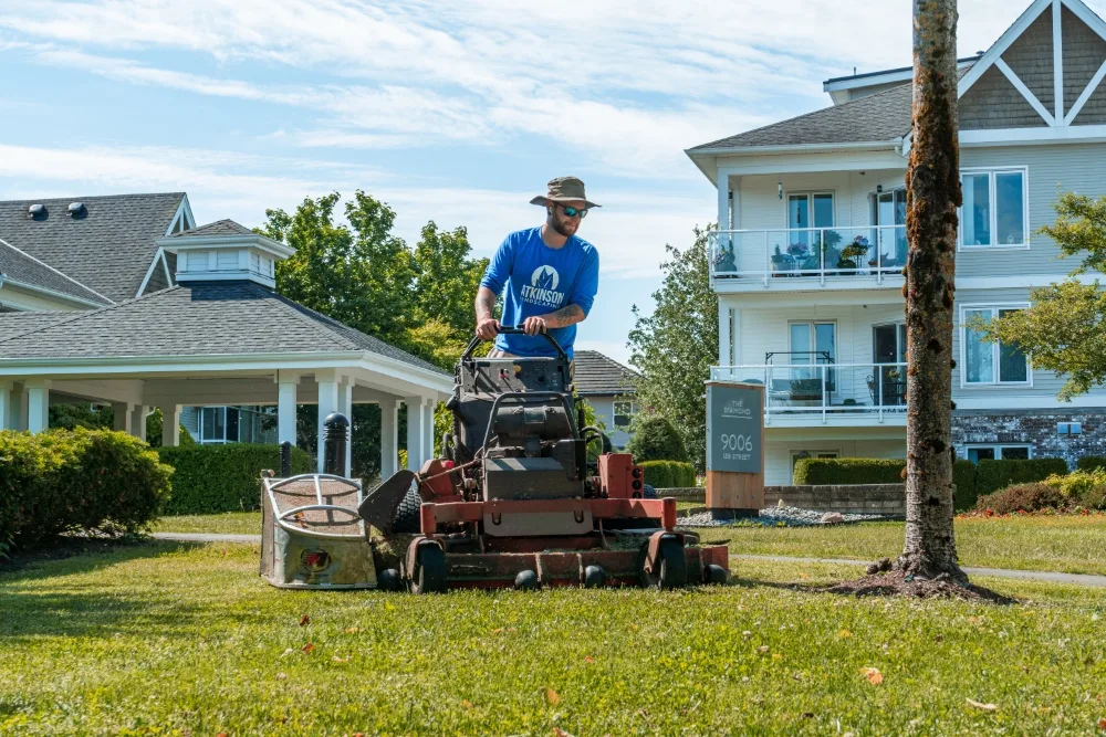 atkinson staff on a ride on mower cutting grass around a tree well