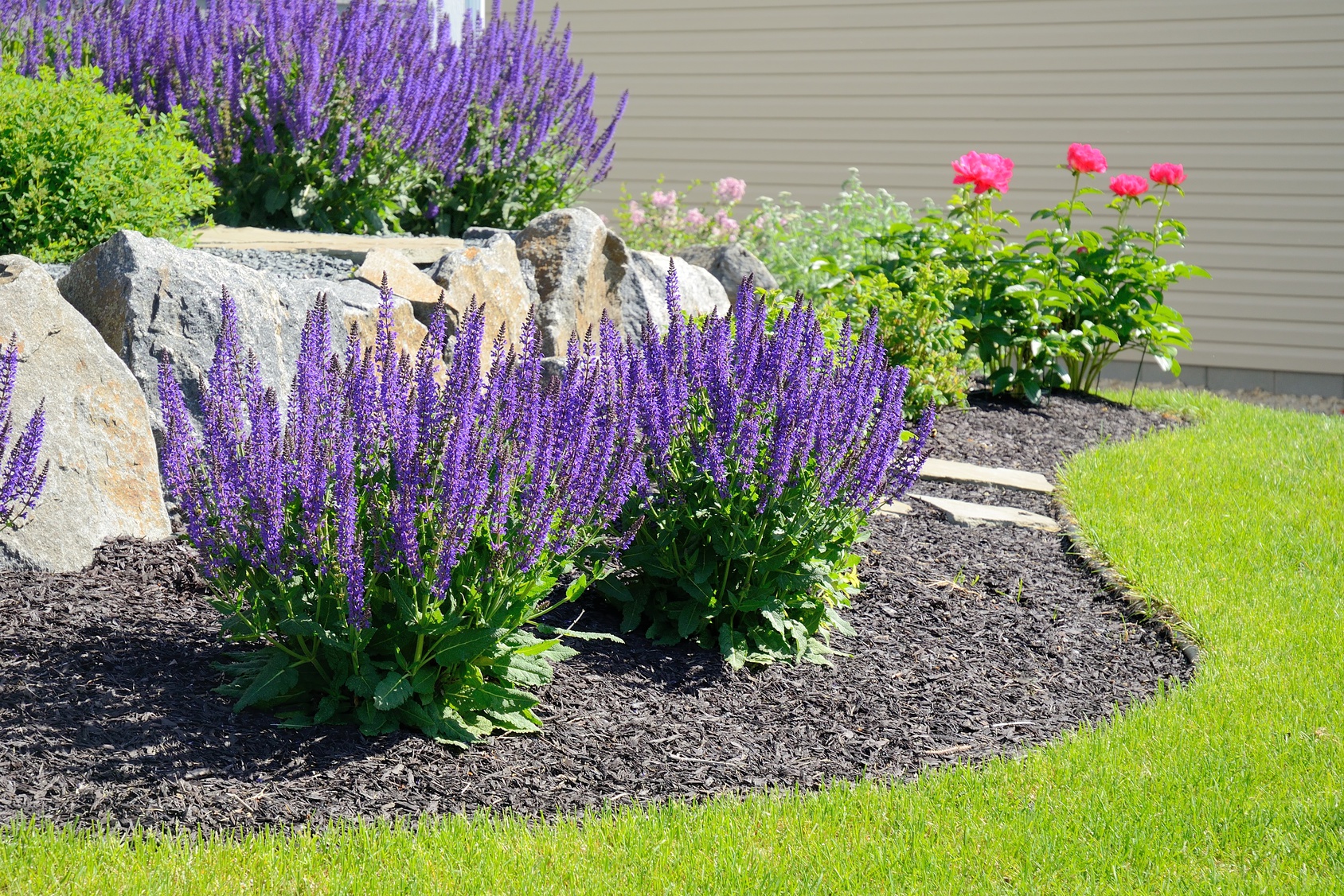 a garden in surrey with flowers and plants